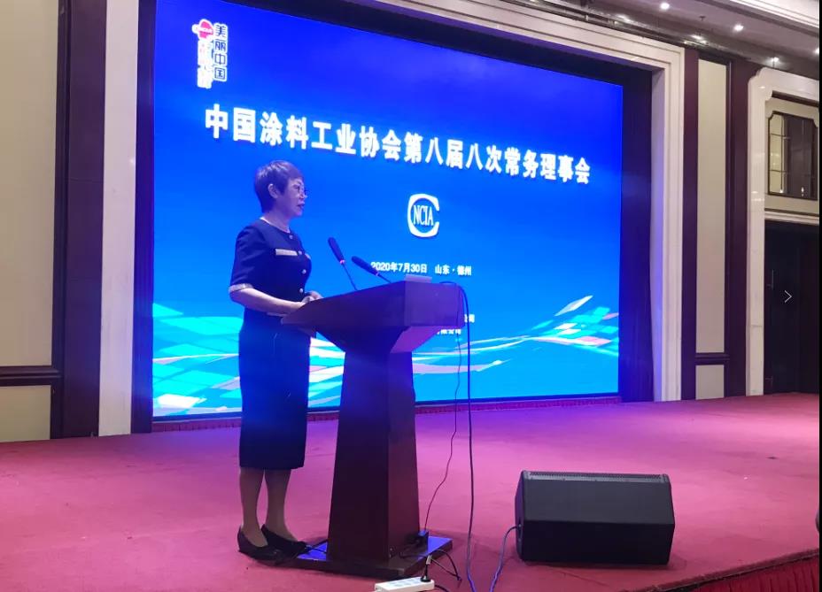 中國涂料工業(yè)協(xié)會第八屆八次常務理事會
